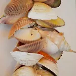 Vakantiehuis Beachy Chic