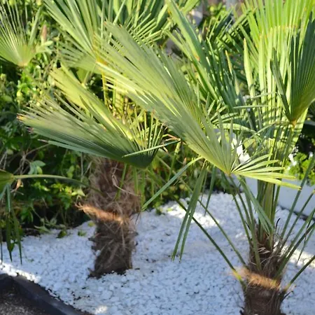 Beachy Chic Zandvoort