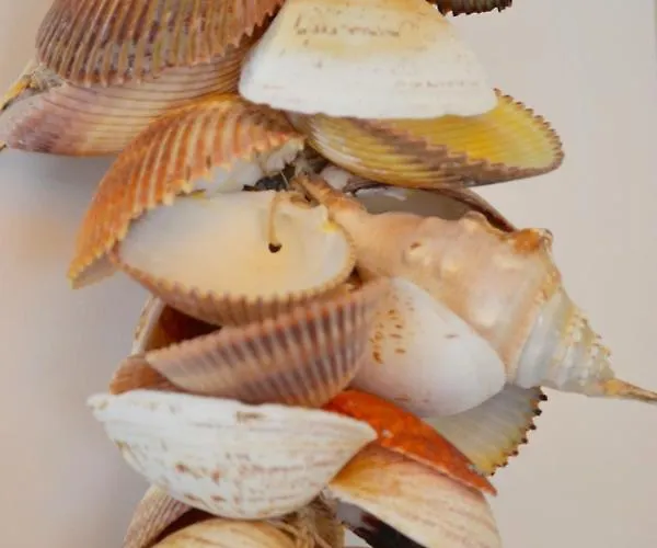 Semesterbostad Beachy Chic