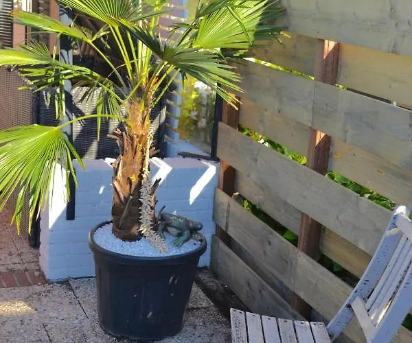 Beachy Chic * Zandvoort